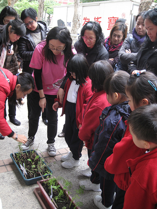 來自二十九間幼稚園的教育同工參觀高德根紀念幼稚園學生栽種的植物