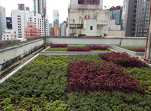 东新商业中心的绿化天台所栽种的植物都是容易打理，不用经常修剪的种类