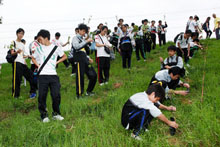 東華三院屬校學生積極參與植樹活動，以實際行動減少碳足印及宣揚珍愛樹木的訊息。
