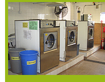 Ozone Laundry Facilities