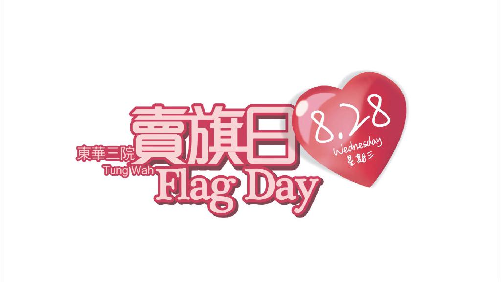 Flagvideo20130716