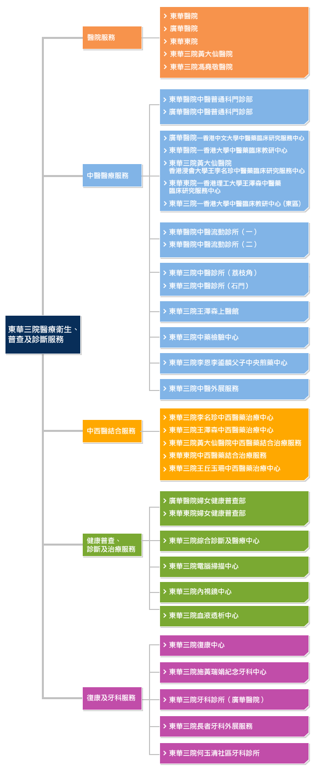 東華三院醫療服務之服務架構圖