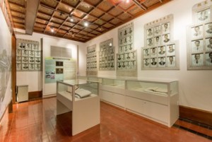 Exhibition Room II of Tung Wah Museum