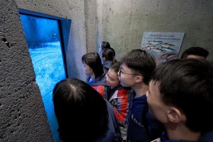 TWGHs Student Ambassadors visited seasonal pumpkin field, and watched the salmon runs and whales in Victoria to gain an in-depth understanding of the natural habitat of Vancouver.