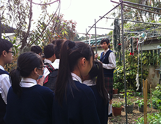 东华三院安排属下中丶小学学生参观辖下服务单位及其他机构的各项绿色设施，加深他们对保环的认识