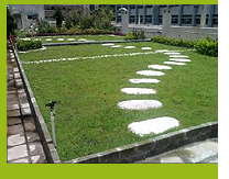 Photo 1. The green roof system of TWGHs Mrs. Wu York Yu Memorial College