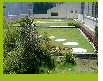 Photo 2. The green roof system of TWGHs Mrs. Wu York Yu Memorial College