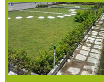 Photo 3. The green roof system of TWGHs Mrs. Wu York Yu Memorial College