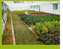 Photo 1. The green roof system of TWGHs Chen Zao Men College