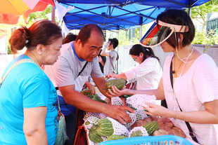 一連兩天的有營食品嘉年華共有二十個展銷攤位，主要售賣產品本地蔬果。