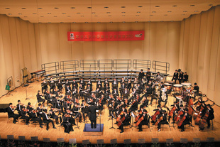 聯校管弦樂團於聯校音樂匯演上表演。
