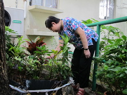 東華三院包兆龍護理安老院的秘密花園，讓李惠卿慢慢重拾自信，從抑鬱深谷走出來。