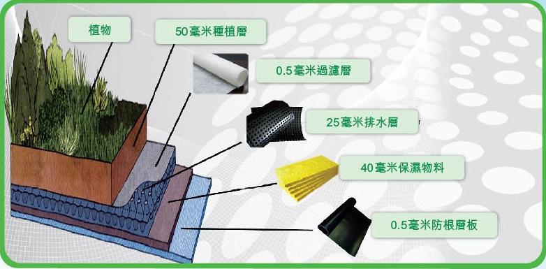 市面上有不同種類的綠化天台系統，例如由多個膠盒組成或由幾層物料組成。而東新商業中心的綠化天台系統就是由幾層物料組成，包括防根層板、保濕物料、排水層、過濾層及種植層組成的。