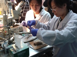 參觀南京中醫藥大學實驗室。