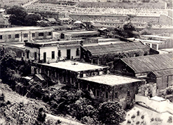 Tung Wah Coffin Home in the 20th century