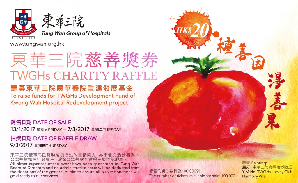 Charity_ticket-template2