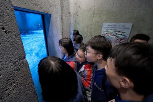 東華三院學生大使參觀時令南瓜田、三文魚回流產卵情況及前往維多利亞觀賞鯨魚等，以深入了解溫哥華的自然生態。